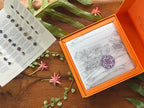 9-Piece Premium Gift Box | Trinidad Chocolate