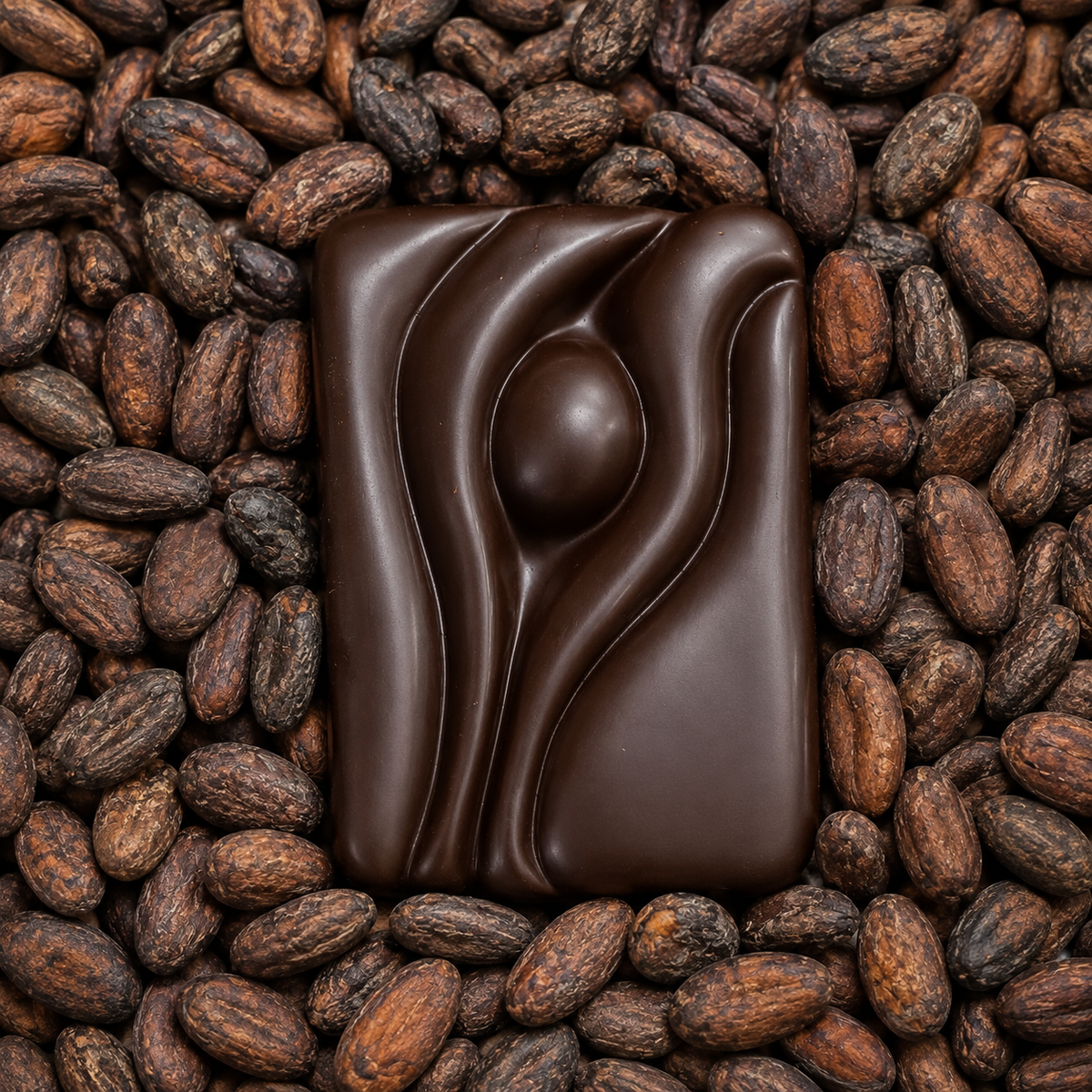72% Single Estate Dark Chocolate | Trinitario Dark Chocolate from Trinidad & Tobago | Award-Winning
