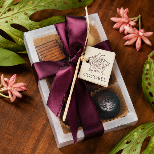 6 pcs Artisan Chocolate Bonbon Gift Collection | Handmade Bonbons from Trinidad & Tobago
