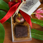 5 pcs Artisan Chocolate Bonbon Gift Collection | Handmade Bonbons from Trinidad & Tobago